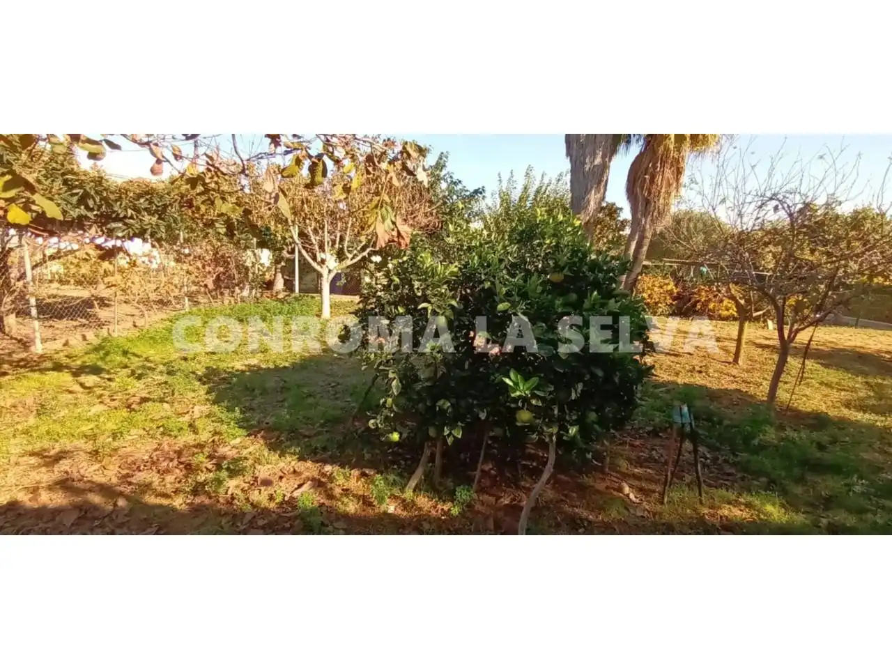 Rural land for sale in Malgrat de Mar, imagen 4