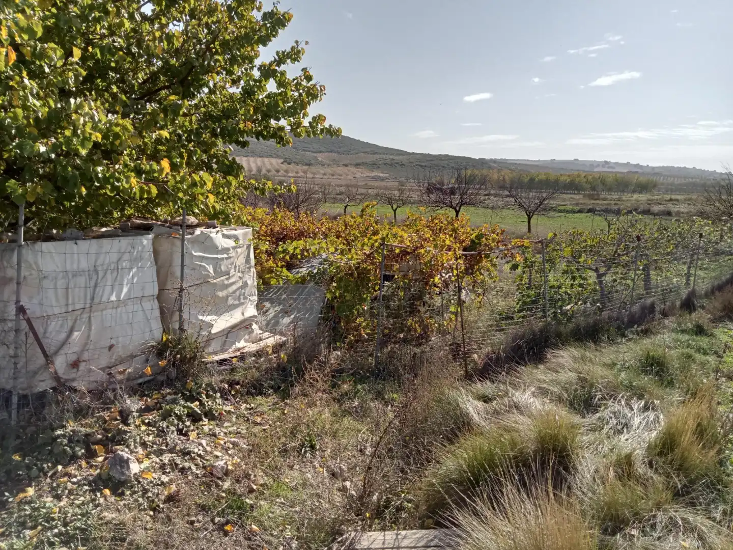 Casa o xalet en venda en Lezuza