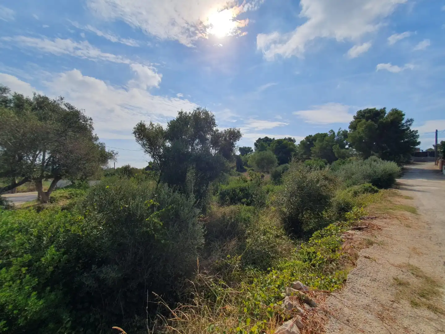 Terrain rustique à vendre à Carrer Riu Francolí 44, imagen 4