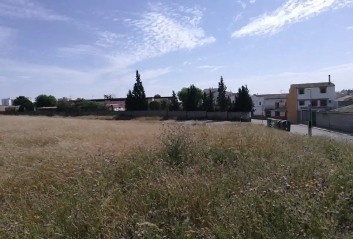 Terreni e lotti in vendita a Arrayanes, imagen 5