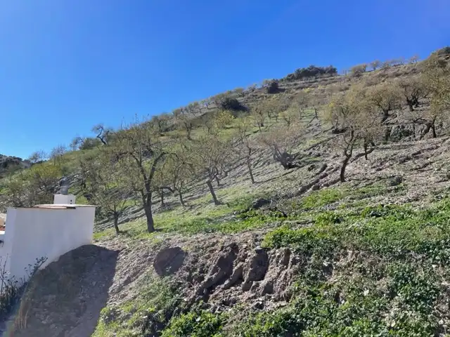 Terreni e lotti in vendita a Murtas, imagen 16