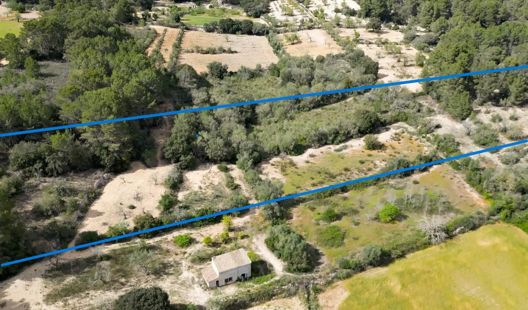 Terreno rustico in vendita a Llucmajor pueblo, imagen 4