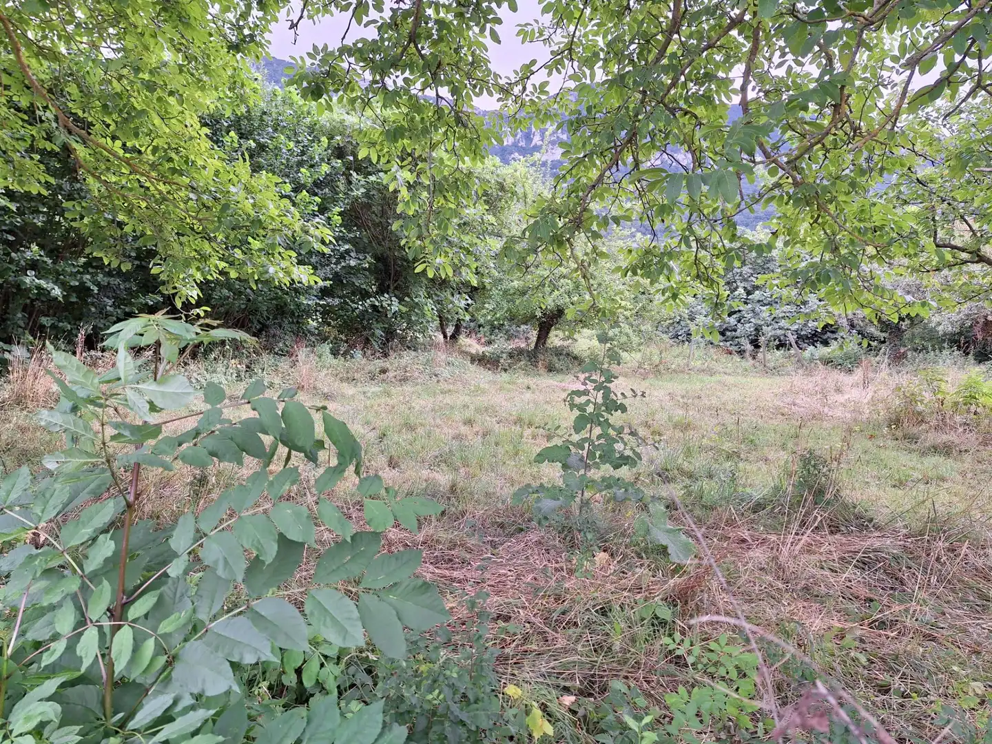 Terreni e lotti in vendita a siones, imagen 16
