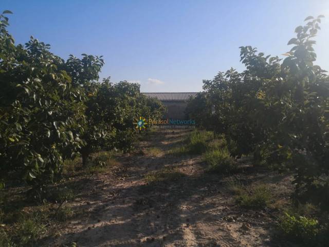 Terreno en Venta en Albaida