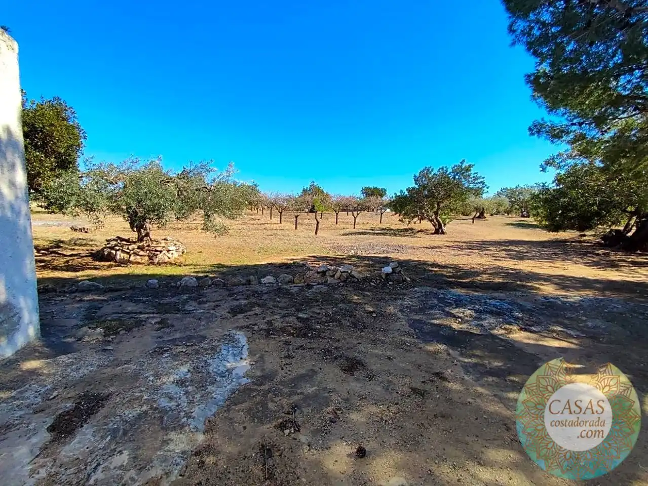 Finca rústica en venda en L'Ametlla de Mar 