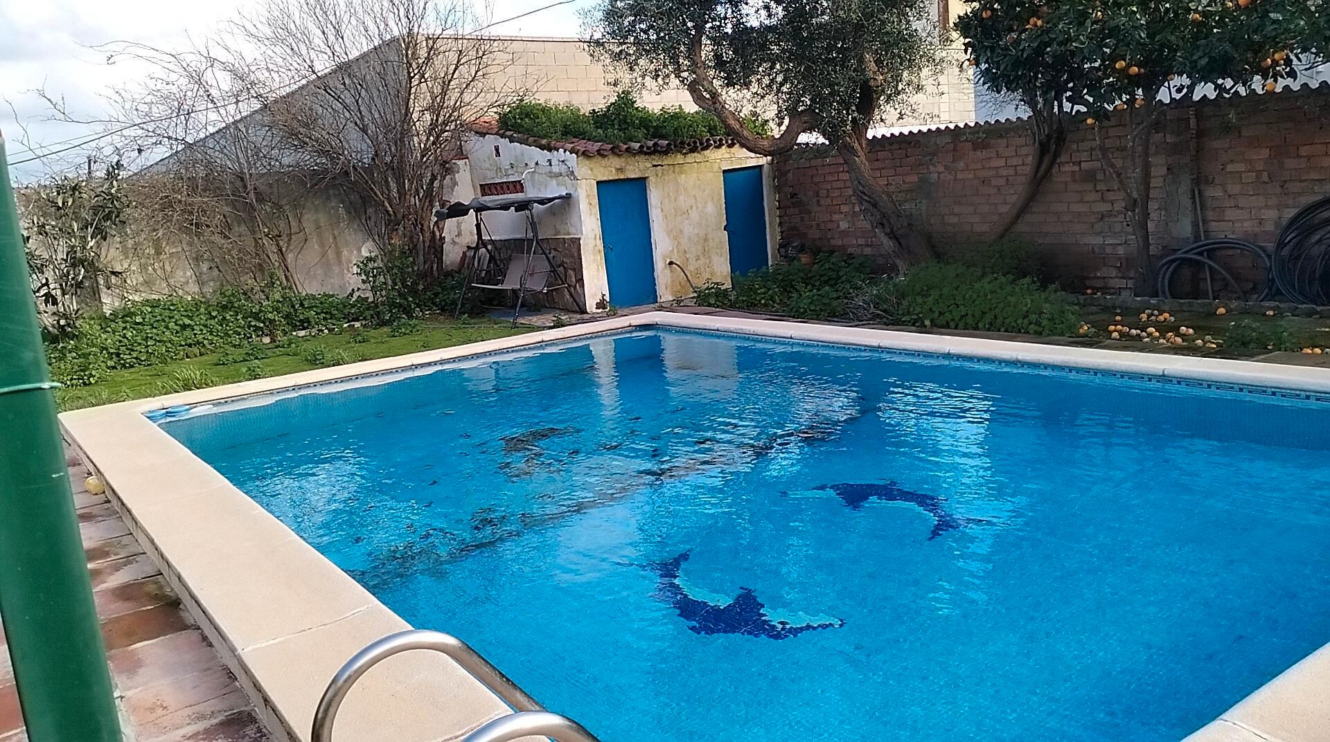 Swimming pool of House or chalet for sale in La Línea de la Concepción  with Furnished