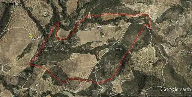 Rural land for sale in torremanzanas, imagen 9