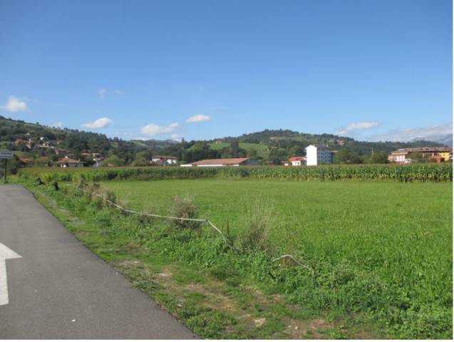 Terreno en Venta en Cangas de Onís
