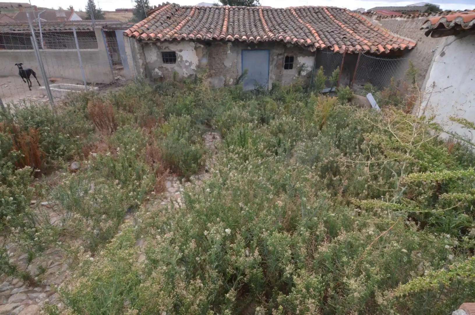 Casa o xalet en venda a Macotera
