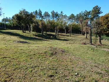 Wohnbaugrundstück zum Verkauf in Urbanitzacio Mas Llunes 26