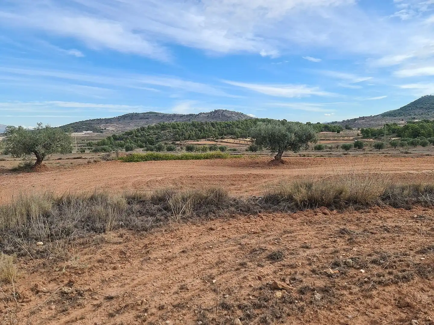 Terreny residencial en venda a El Pinós / Pinoso, imagen 3