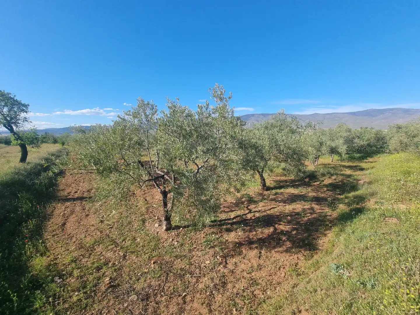 Terreno en venta en Abrucena