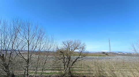 Foto 5 de Pis en venda a Emporda, Sant Pere Pescador, Girona