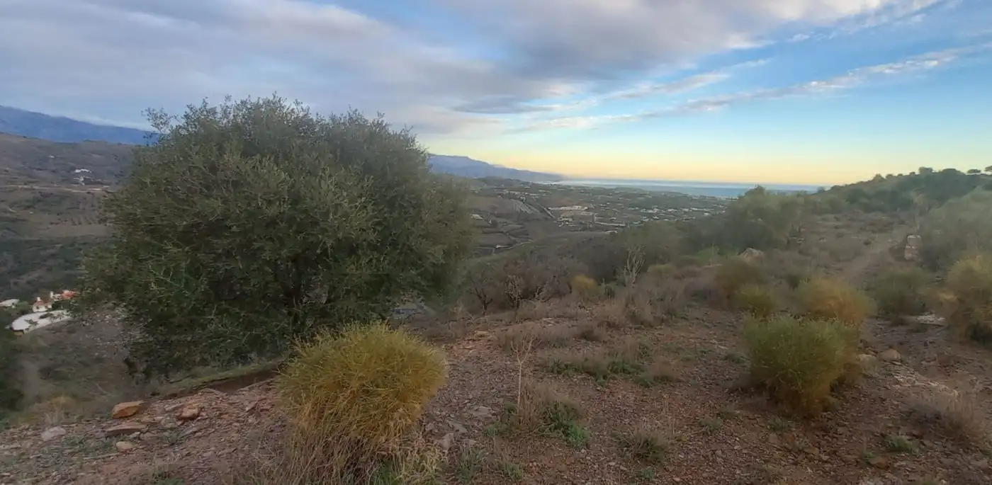 Terreni e lotti in vendita a Benajarafe, imagen 16