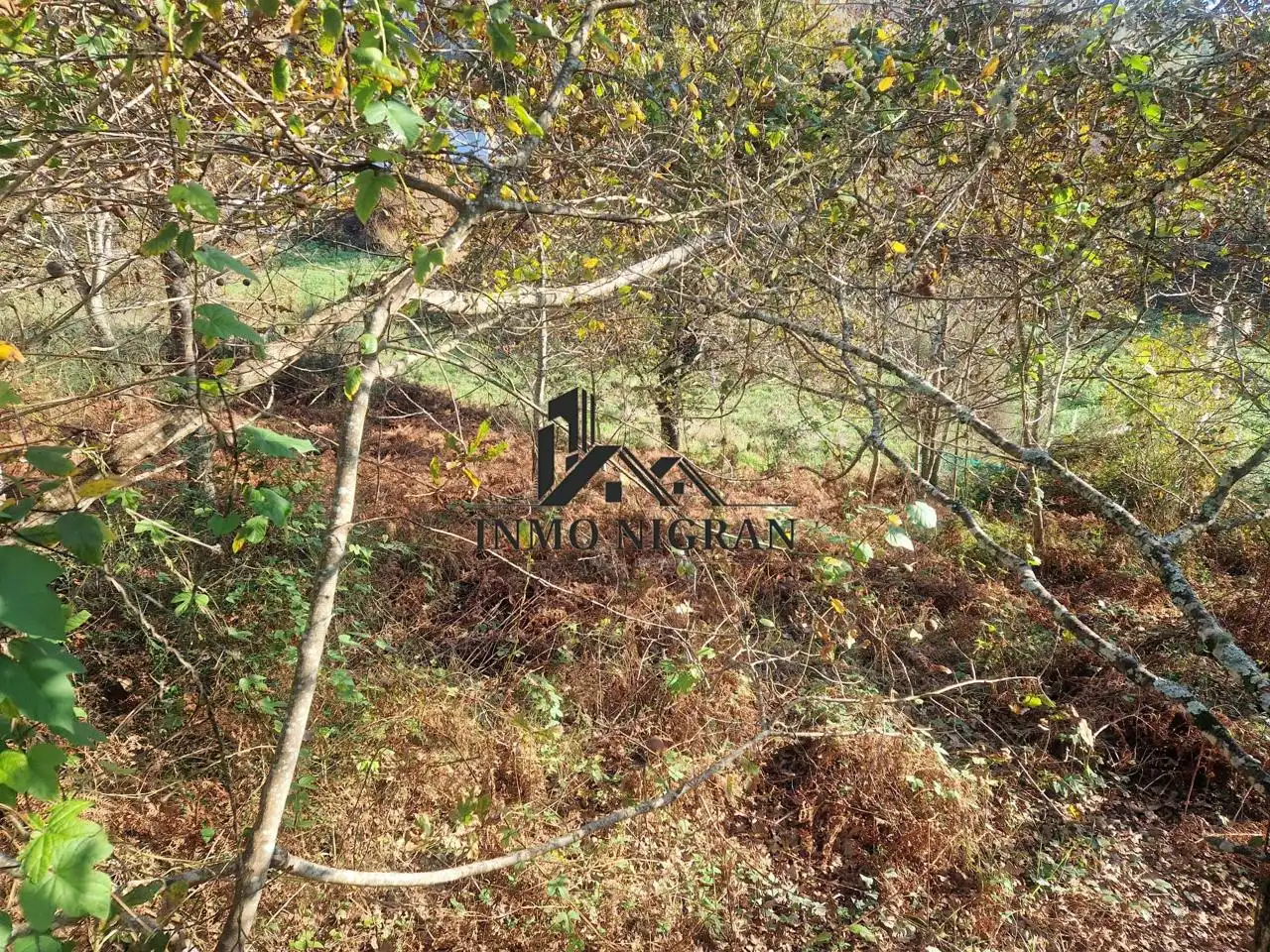 Lands and plots for sale in Do Lavadeiro, imagen 5