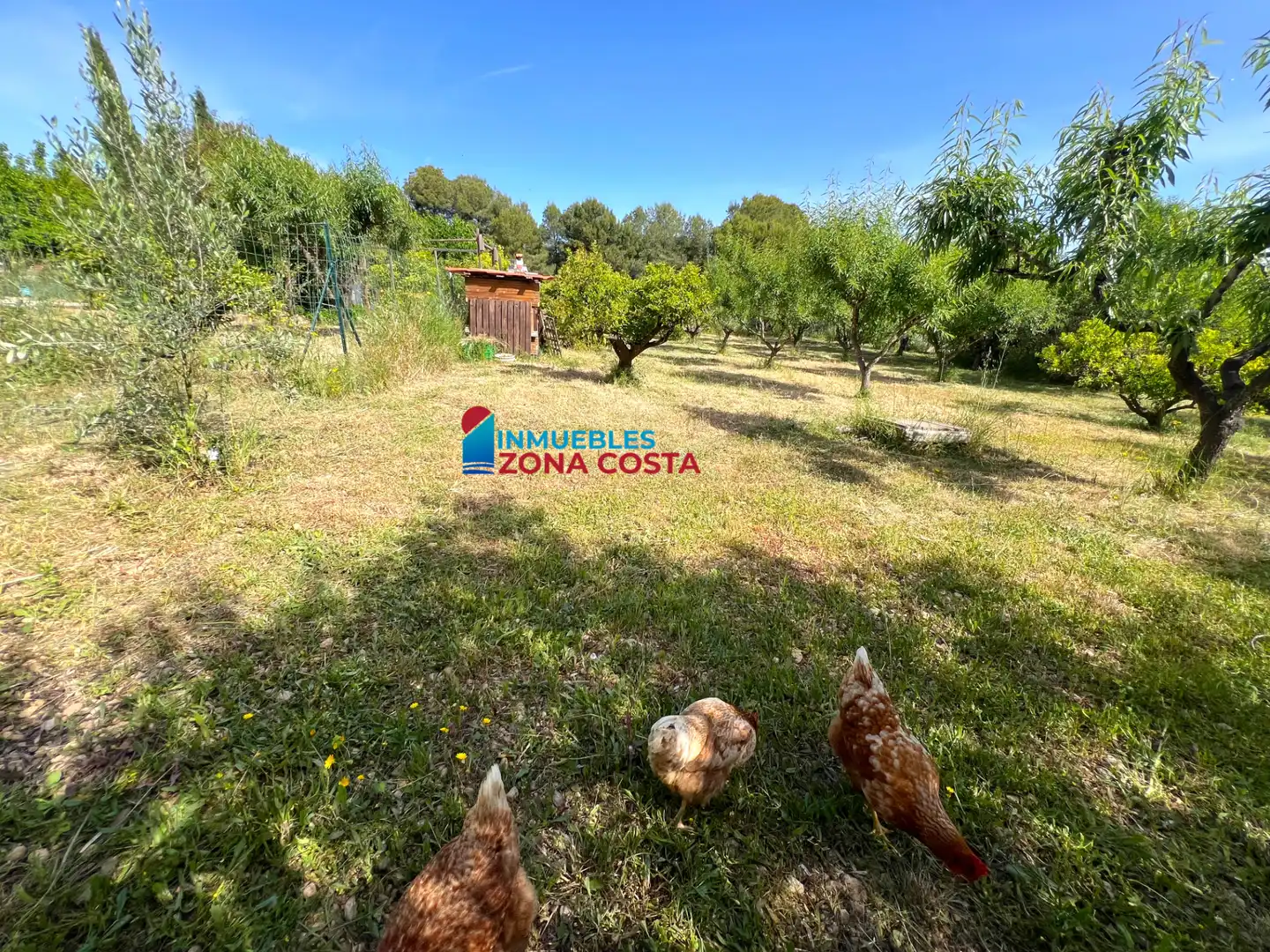 Finca rústica en venta en Vilamarxant con Aire acondicionado, Jardín privado y Terraza