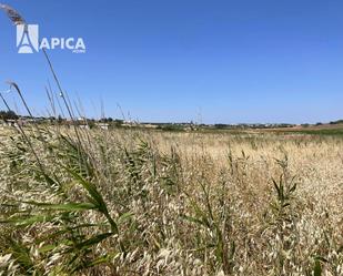 Land for sale in N/A, Conil