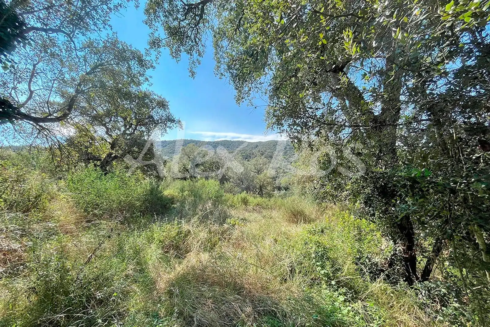 Rural land for sale in Mas Santet, imagen 4