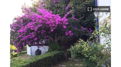 Photo 5 of Apartment to share in Redondela, Pontevedra