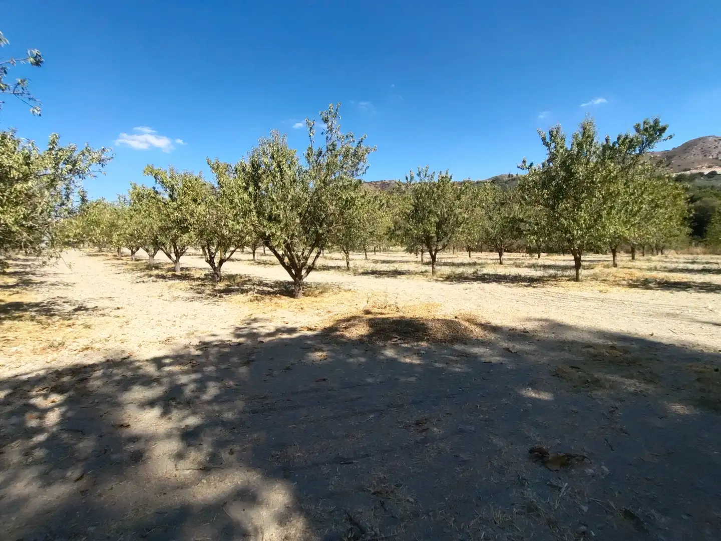 Country homes for sale in Priego de Córdoba  with Private garden, Terrace and Swimming Pool