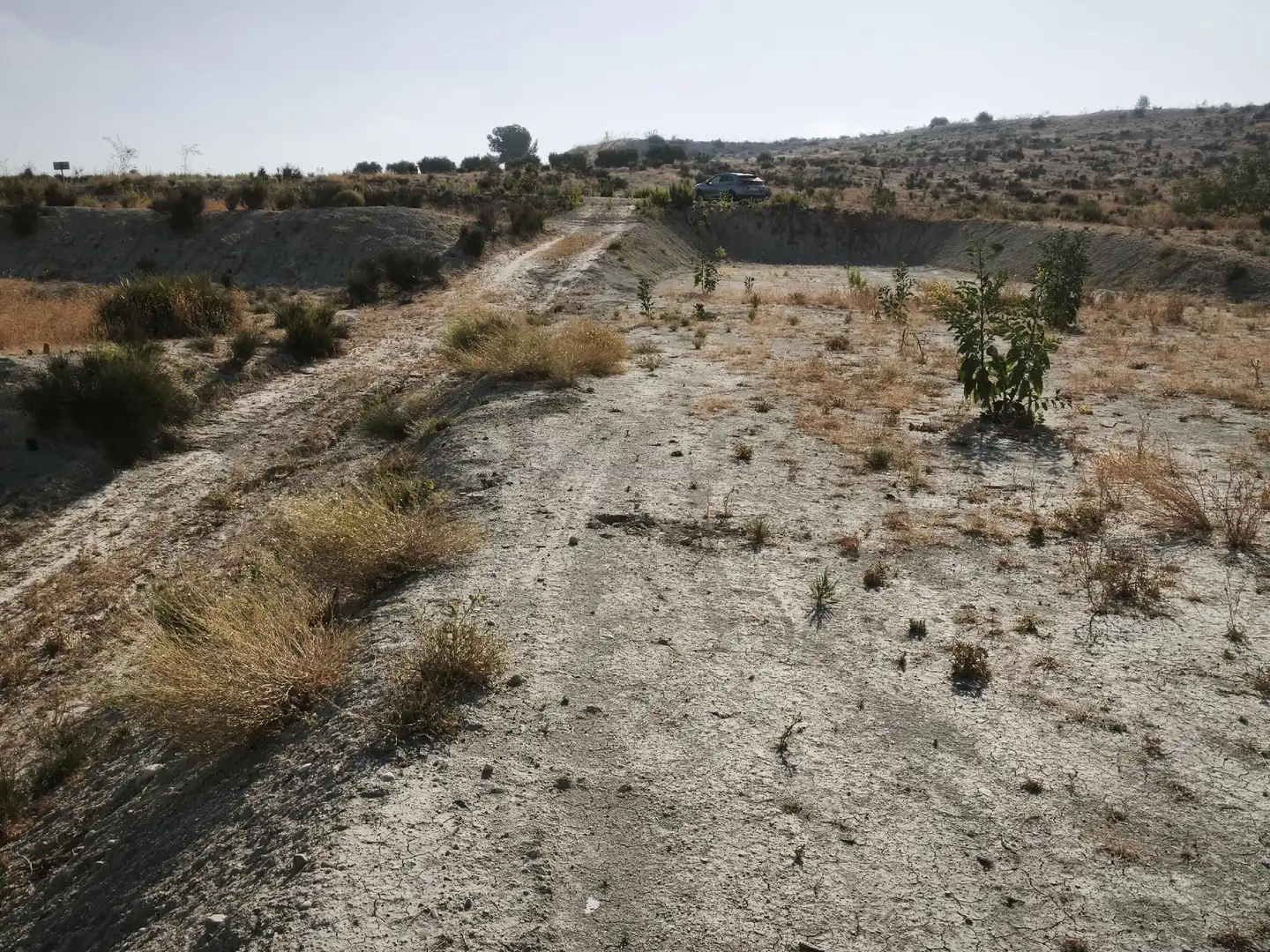 Terreni e lotti in vendita a Campos del Río, imagen 5