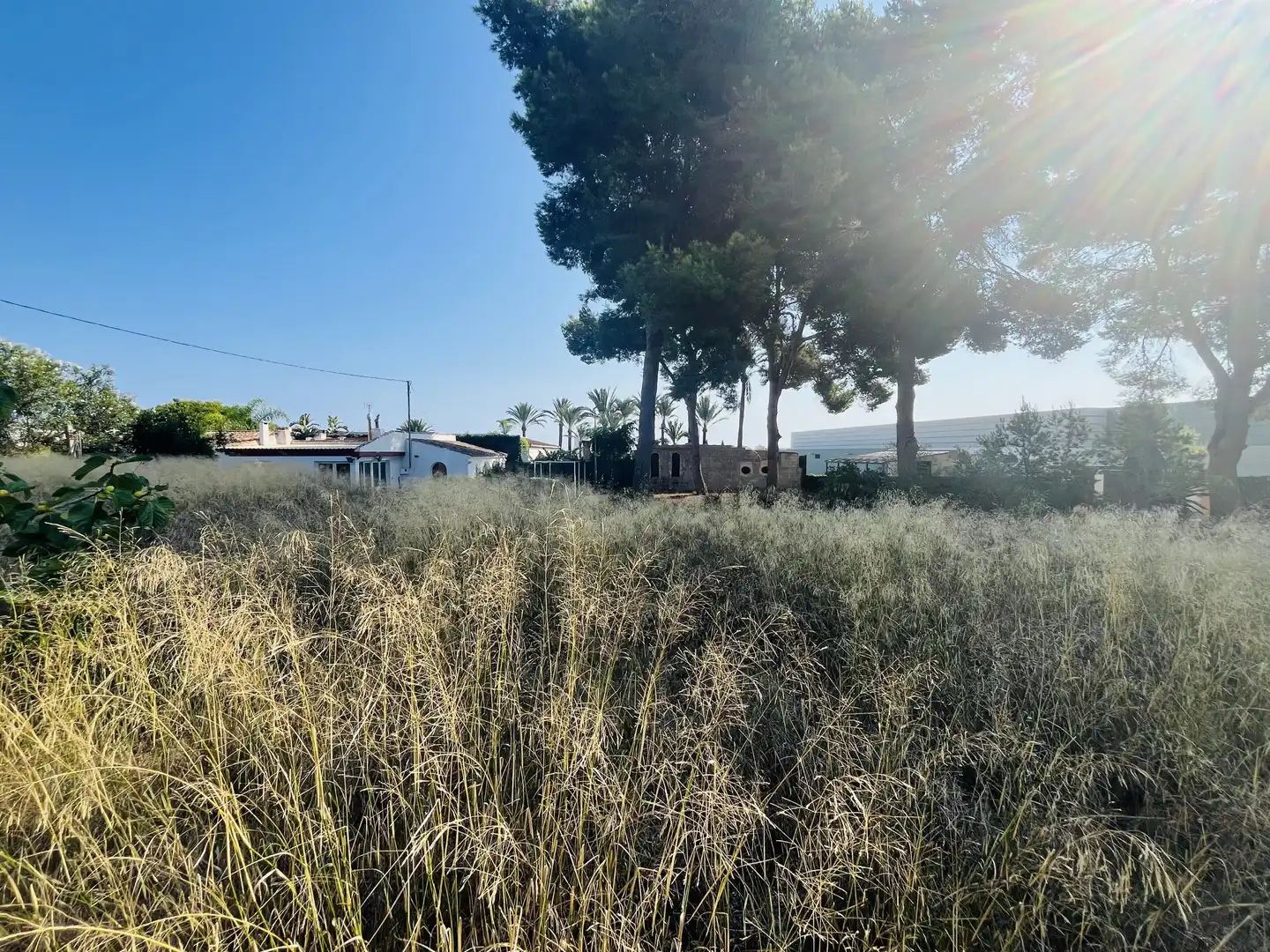 Casa o xalet en venda en Cap Martí - El Tossalet - Pinomar