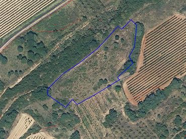 Terreno rustico in vendita a Medrano