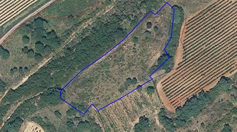 Finca en Medrano con riego