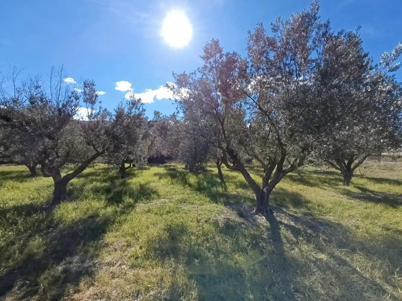 Country house for sale in Batoi, imagen 18