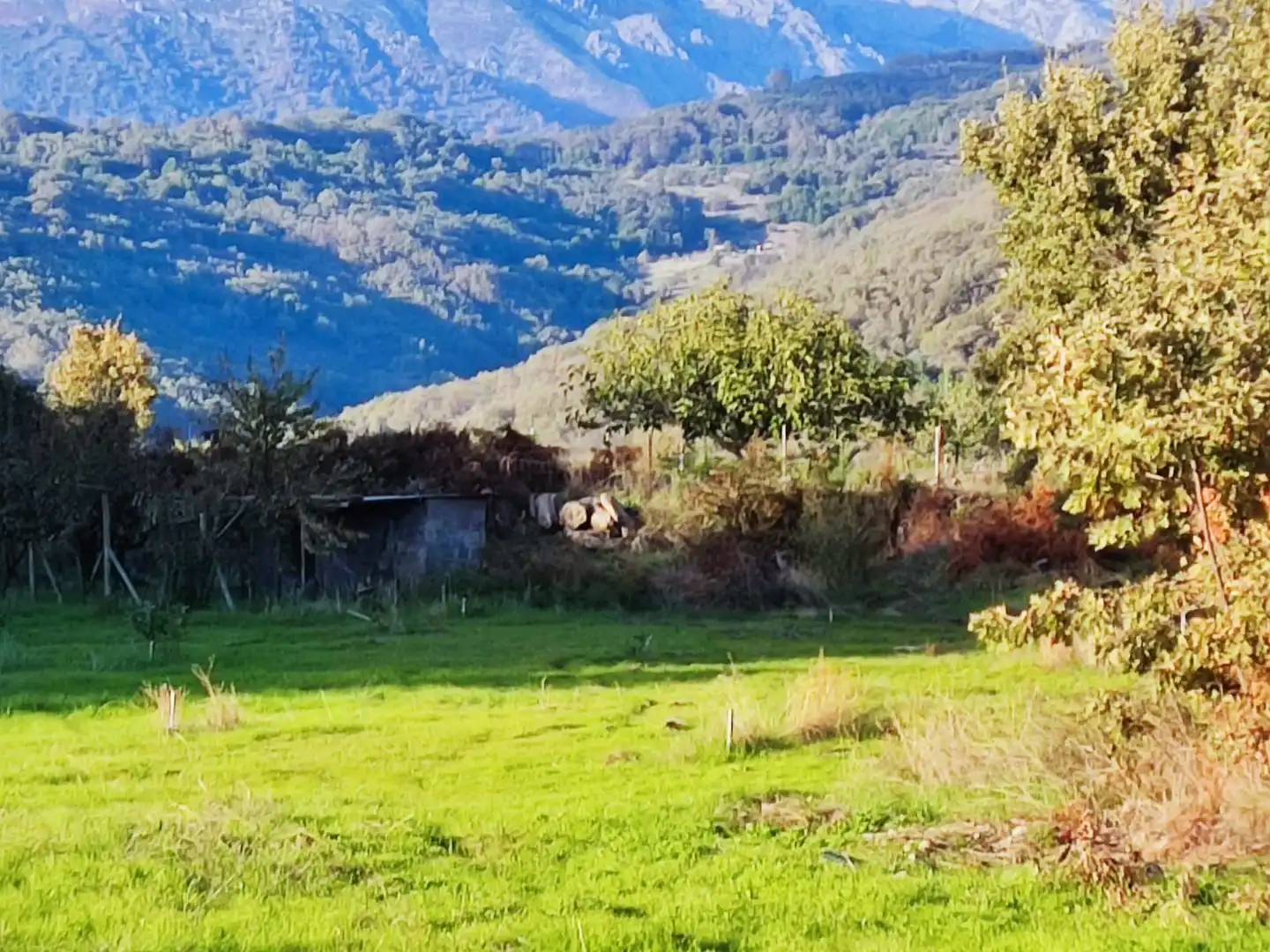 Terreni e lotti in vendita a Jarandilla de la Vera, imagen 22