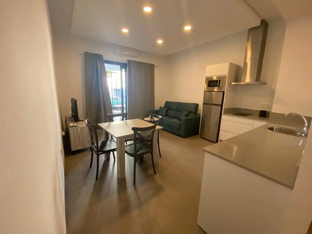 Others for sale in Conil, imagen 2