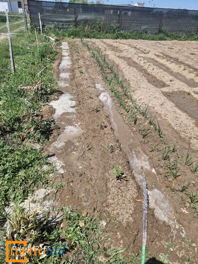 Exterior view of Land for sale in Babilafuente