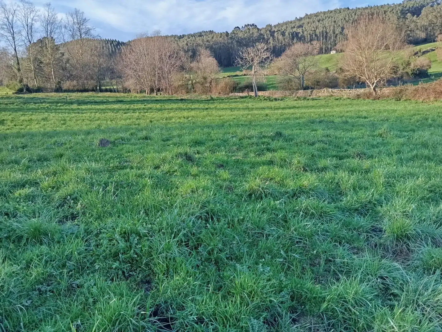 Terreni e lotti in vendita a Hazas de Cestoi 128, imagen 7