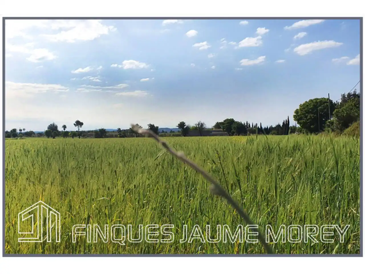 Residential for sale in Inca