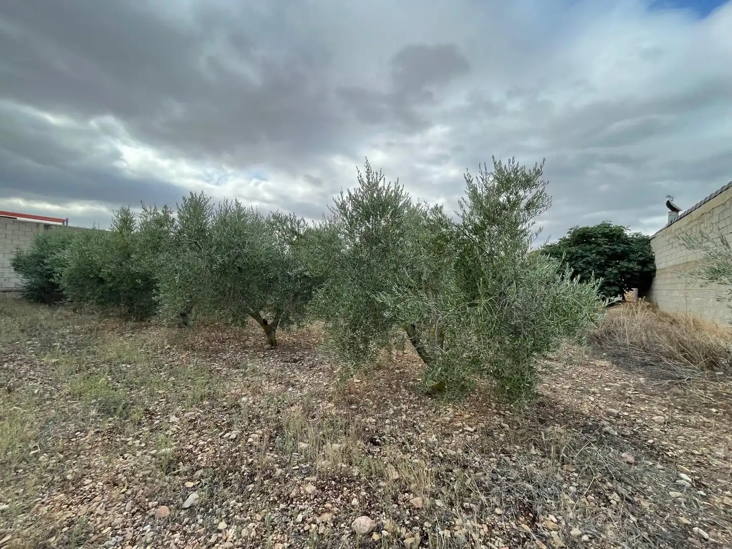 Terreni e lotti in vendita a santa catalina, imagen 15