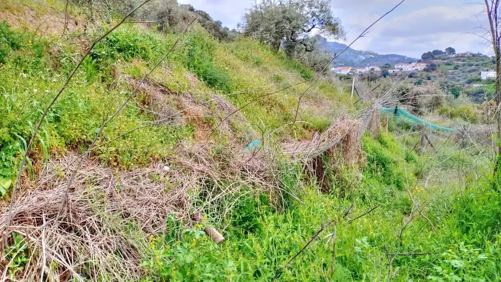Terreni e lotti in vendita a Comares, imagen 8