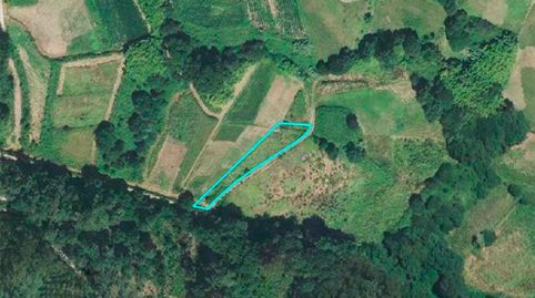 Suelo Ubicado en Tui Pontevedra parroquia Pexegueiro, pg 91 parc. 173. Cuenta con una superficie de 775,00 m2.  No dudes en consul, immagine 5