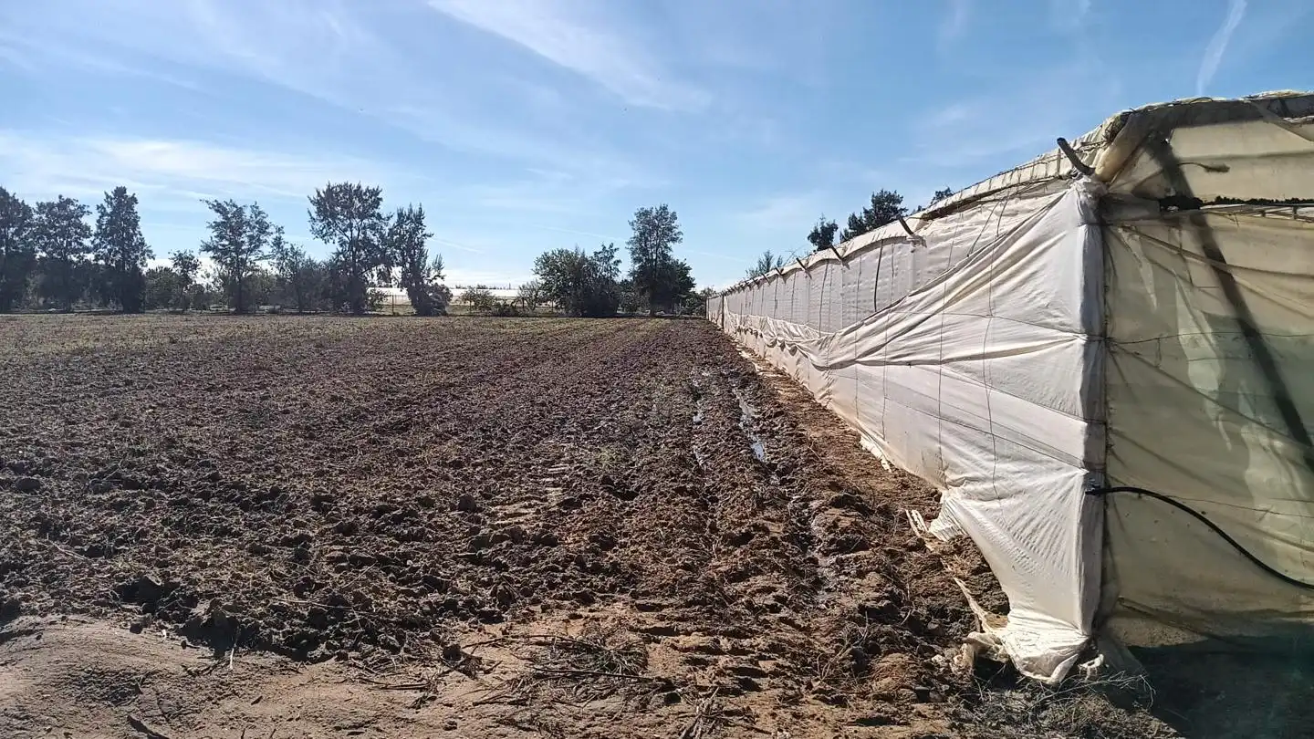 Terreni e lotti in vendita a Chipiona, imagen 7
