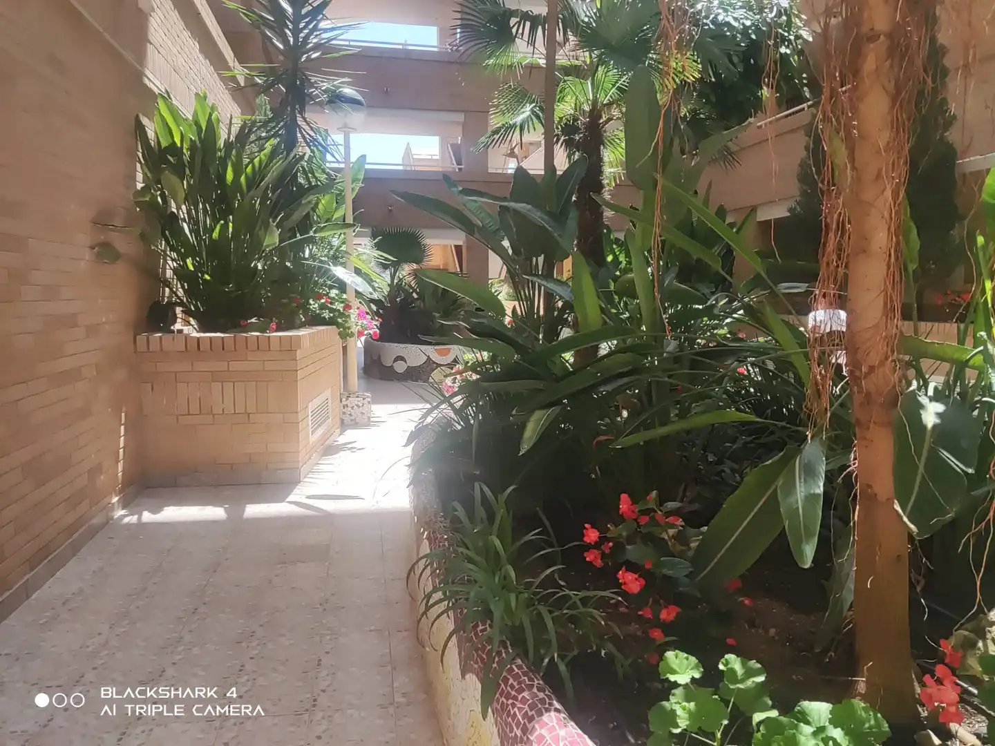 Apartamento con piscina en venta en Camino l'Atall 18, imagen 6