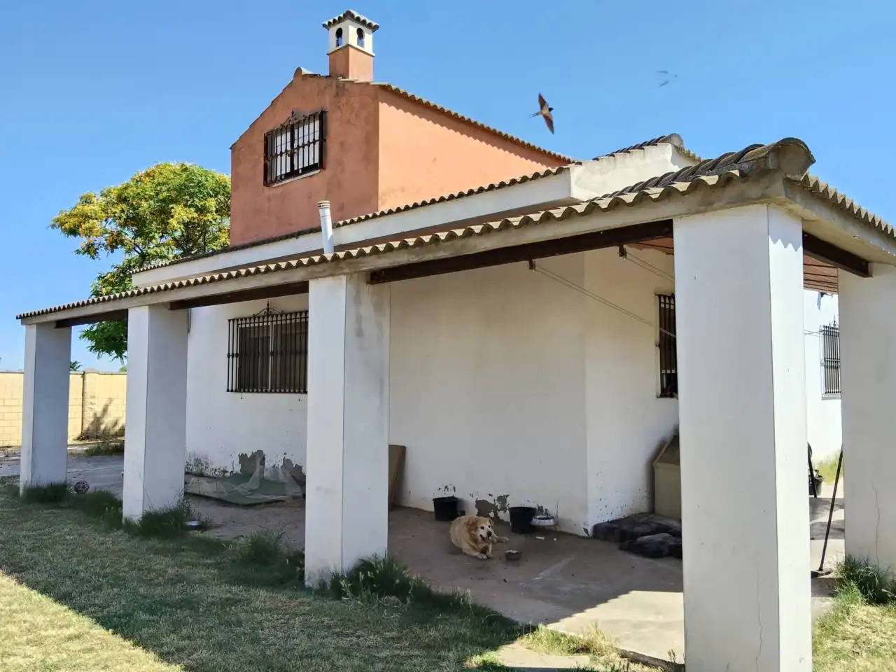 Detached house with garden for sale in Urbanizacion Mata de las Naranjillas, imagen 2
