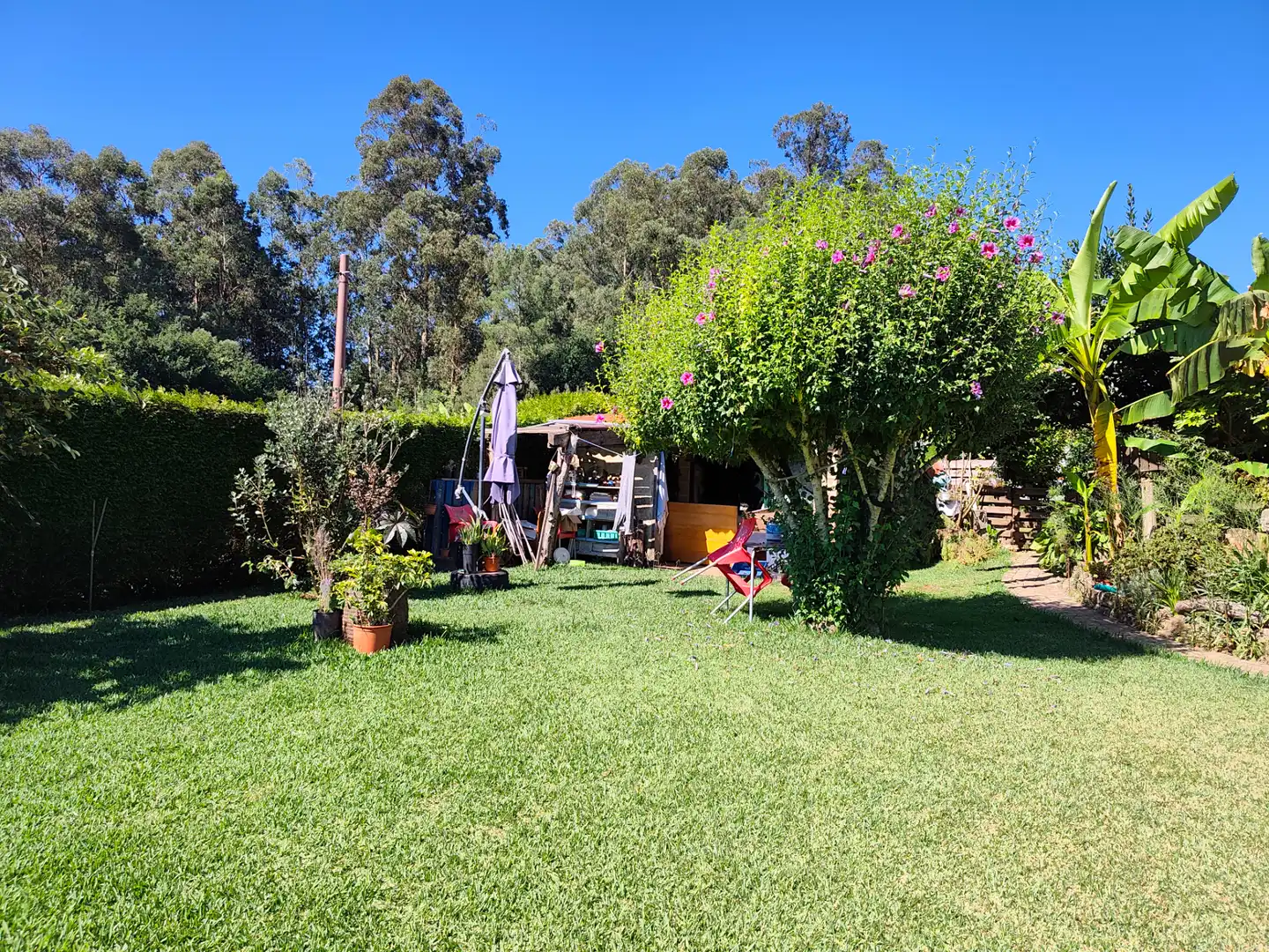 Garden of Ground floor for share in Vigo   with Private garden, Terrace and Furnished