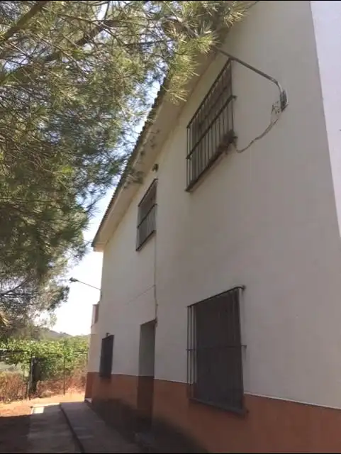 Maison avec terrasse à vendre à Campus Universitario, imagen 7