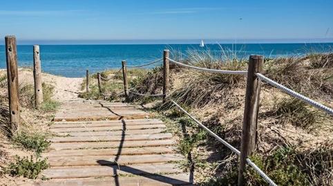 Photo 4 of Premises for rent in Paseo Paseo de Gregorio Mayans y Ciscar, Oliva pueblo, Oliva