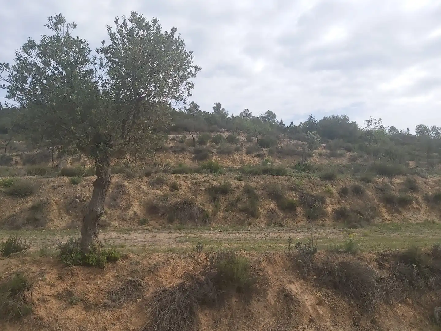 Country homes for sale in Seròs