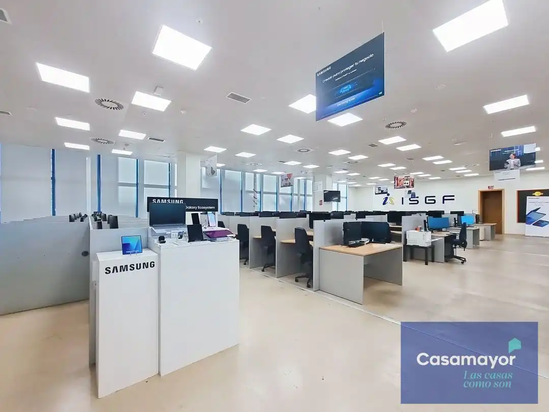 Oficina de lloguer a Avinguda de Jean Claude Combaldieu, Palmeral