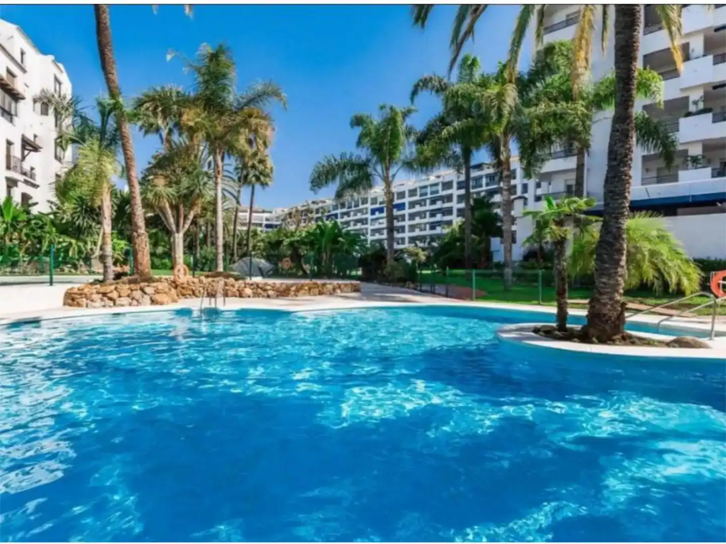Swimming pool of Flat for rent in Nueva Andalucía