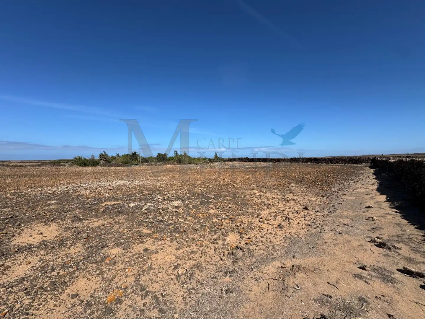 Land for sale in La Oliva