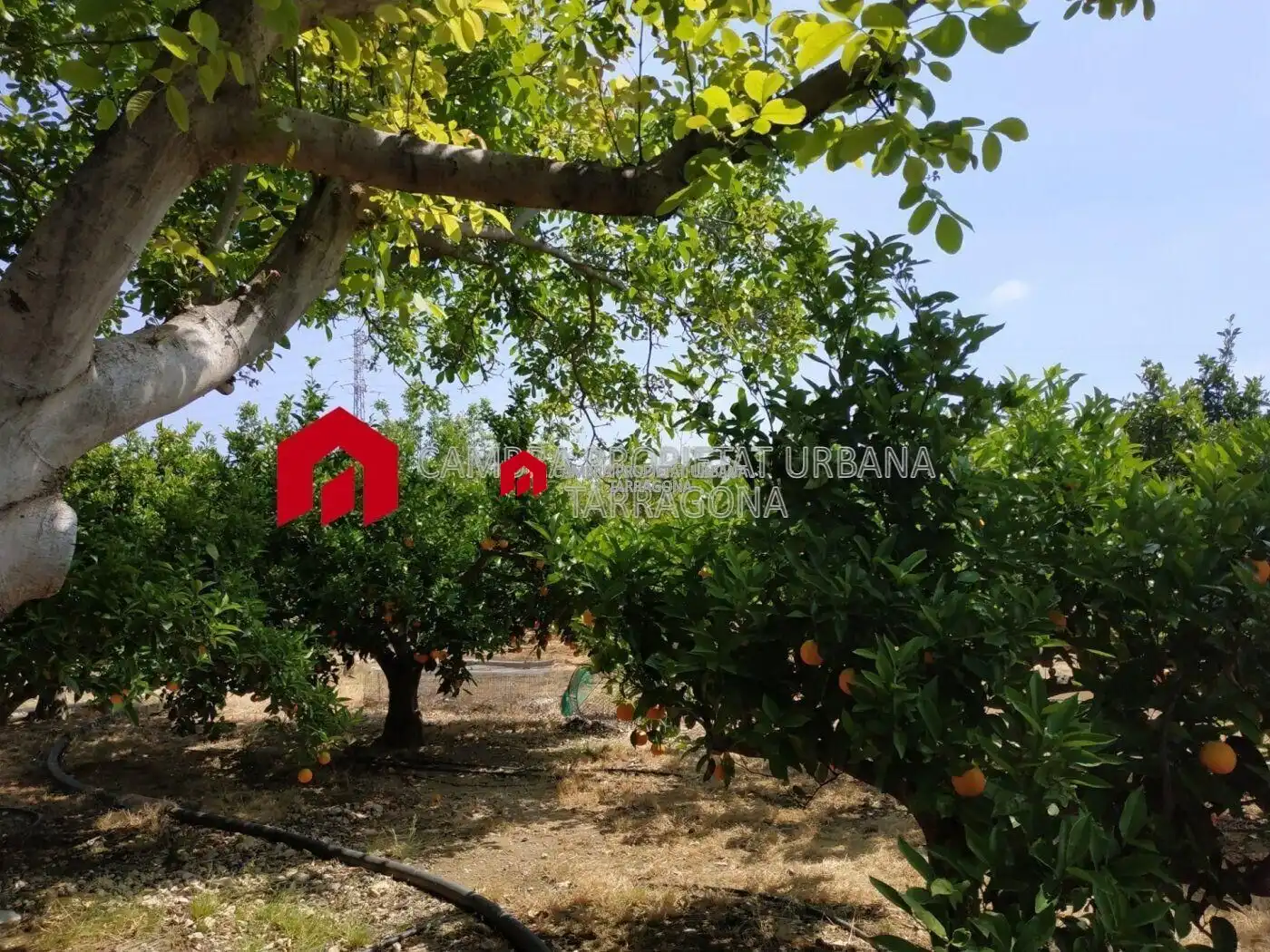 Country homes for sale in L'Aldea  with Air Conditioner, Heating and Private garden