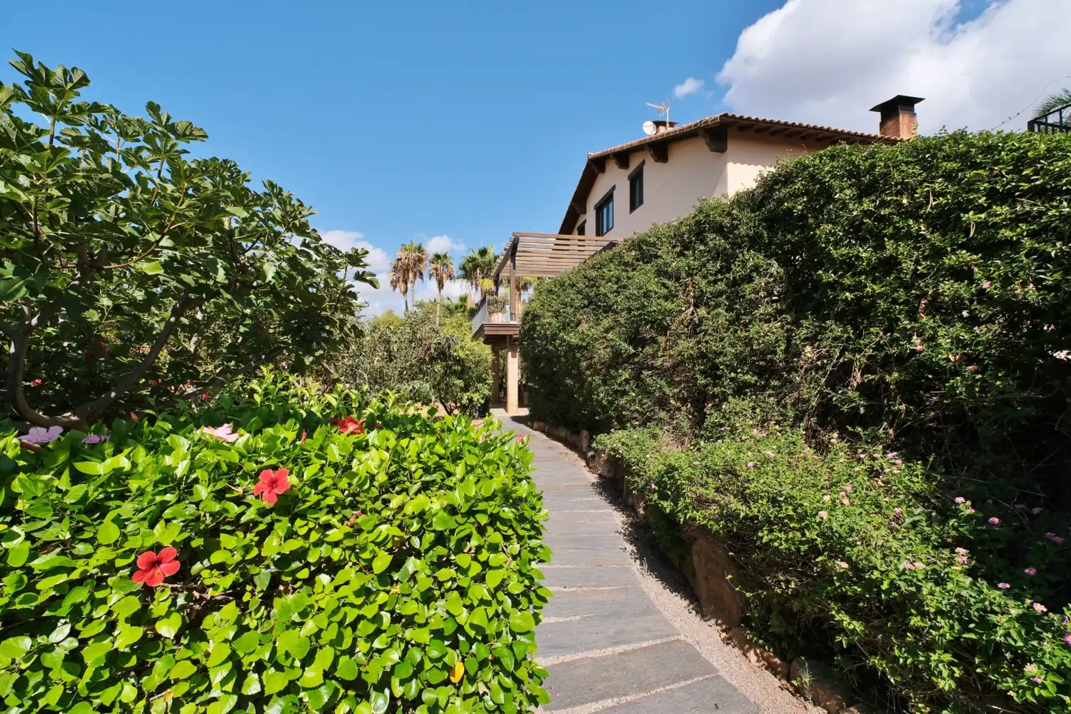 Vista exterior de Casa o chalet en venta en Puçol con Aire acondicionado, Calefacción y Jardín privado