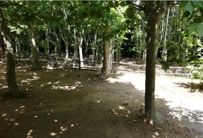 Geschaftsraum zur Miete in Vallgorguina mit Klimaanlage, Heizung und Terrasse